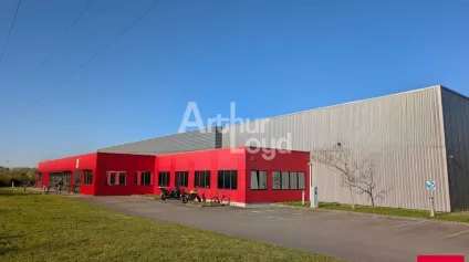 RARE - LE RHEU - LOCAL D'ACTIVITE A LOUER - 3&nbsp;000 M² - Offre immobilière - Arthur Loyd