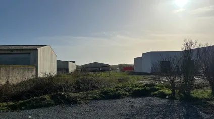 A vendre Terrain Sainte Soulle -USSEAU 2866 m² - Offre immobilière - Arthur Loyd