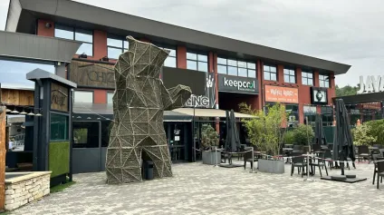 LOCAL COMMERCIAL à LOUER de 221 m² - Offre immobilière - Arthur Loyd