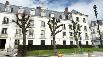 TOURS CENTRE LOCAUX COMMERCIAUX RÉHABILITÉS A LOUER 101 ET 81 M² AVEC TERRASSES - Offre immobilière - Arthur Loyd