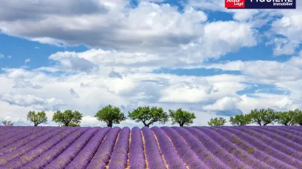 LOCAL COMMERCIAL MERCURE - Offre immobilière - Arthur Loyd