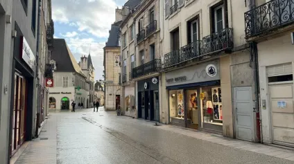 A LOUER CENTRE-VILLE DIJON - RUE PIETONNE - Offre immobilière - Arthur Loyd