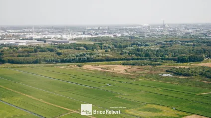 Terrain à vendre libre de constructeur à Chasselay proche A6 et gare - Offre immobilière - Arthur Loyd