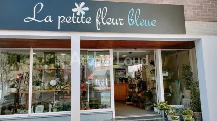 Vente local commercial 90m2 Hazebrouck centre deux garages privatifs - Offre immobilière - Arthur Loyd