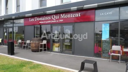Location local commercial Lesquin surface de plain-pied et stationnements dédiés - Offre immobilière - Arthur Loyd