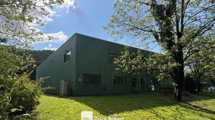 A vendre - Grand bâtiment indépendant sur son terrain - Fleurieu sur Saône - Offre immobilière - Arthur Loyd