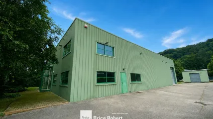 Bâtiment d’activité indépendant à vendre à Fleurieu-sur-Saône accès poids lourds - Offre immobilière - Arthur Loyd