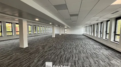 Bureaux à louer à Villeurbanne proche Parc de la Tête d'Or avec patio - Offre immobilière - Arthur Loyd