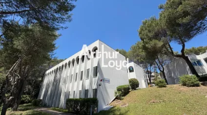 Bureaux cloisonnés à la vente sur le secteur de Sophia Antipolis - Offre immobilière - Arthur Loyd
