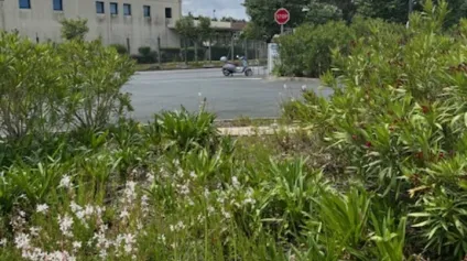 ANGLET - Bureaux clés en main 120 m2 avec parkings à saisir ! - Offre immobilière - Arthur Loyd