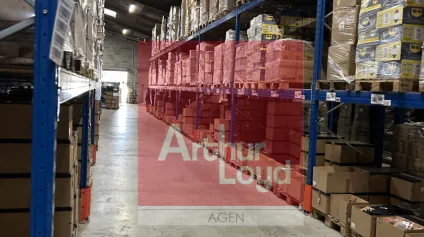 Local d'activité/Entrepôt à louer - 4850 m² - FLEURANCE - Offre immobilière - Arthur Loyd