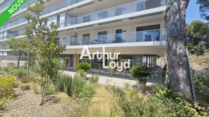 EMPALCEMENT N°1 LOCAL COMMERCIAL A LOUER DE 239M² DIVISIBLE - Offre immobilière - Arthur Loyd