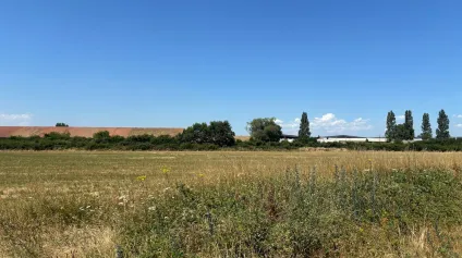 À VENDRE : Terrain plat et constructible de 3 hectares situé ZAC des Plaines sur la commune de Bonson - Offre immobilière - Arthur Loyd