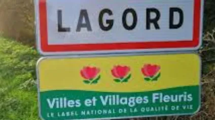 <br />A vendre Terrain et locaux Lagord 2000 m²<br /> - Offre immobilière - Arthur Loyd