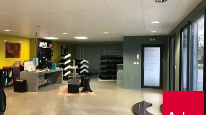 BUREAUX A LOUER QUARTIER TORCOLS - UN HAVRE DE PAIX POUR TRAVAILLER - Offre immobilière - Arthur Loyd