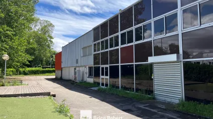 Bâtiment industriel à vendre à Vaulx-en-Velin sur terrain indépendant de 9728 m² - Offre immobilière - Arthur Loyd