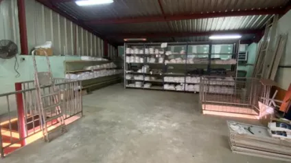 Local d'activités 300 m2 , FdF, rénové - Offre immobilière - Arthur Loyd