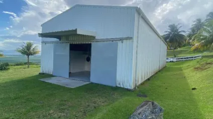 Local d'activités / Entrepot 250 m2, Le Lamentin, propre - Offre immobilière - Arthur Loyd
