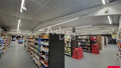 MONTOIRE SUR LE LOIR - LOCATION LOCAUX COMMERCIAUX DE 135 M² - 2x 137 M² OU 409 M² - ATTRACTIVITÉ COMMERCIALE - Offre immobilière - Arthur Loyd