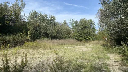 TERRAIN A LOUER - Offre immobilière - Arthur Loyd