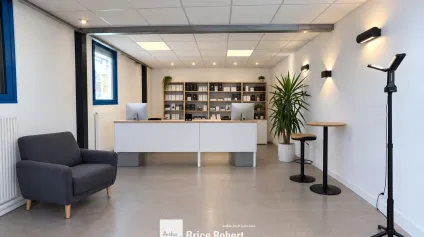 Locaux d'activité à vendre à Saint-Priest hauteur sous plafond et accès axes routiers - Offre immobilière - Arthur Loyd