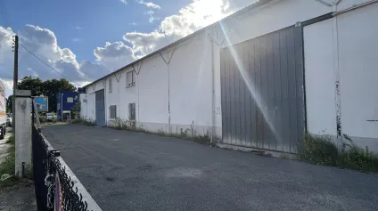 Local d'activités à louer à Bègles avec grande hauteur sous plafond - Offre immobilière - Arthur Loyd