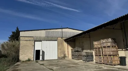 Local agricole à louer à Monteux 500 m² avec quai de chargement - Offre immobilière - Arthur Loyd