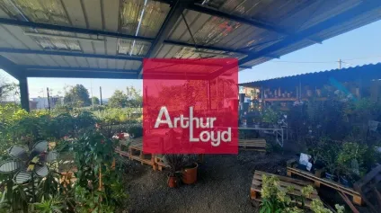 SECTEUR 63 A VENDRE JARDINERIE ANIMALERIE BRICOLAGE - Offre immobilière - Arthur Loyd