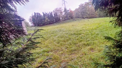 Montceau les Mines - Terrain 3 245 m² à vendre - Offre immobilière - Arthur Loyd