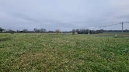 A VENDRE - TERRAIN CONSTRUCTIBLE DE 2501M² - LA VILLEDIEU DU CLAIN - Offre immobilière - Arthur Loyd