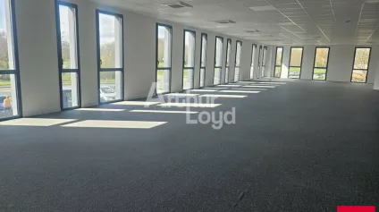 Trélazé plateau de bureaux de 368 m² à louer - Division possible - Offre immobilière - Arthur Loyd