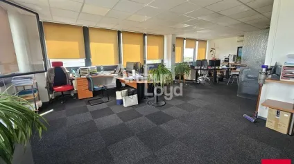 ANGERS EST bureaux de 130 m² à louer - Offre immobilière - Arthur Loyd