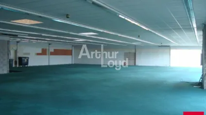 CHATEAUROUX-LE POINCONNET ZONE COMMERCIALE - LOCAL COMMERCIAL A LOUER 770 M2 - Offre immobilière - Arthur Loyd