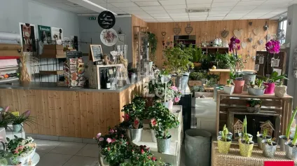 BLOIS - CESSION LOCAL COMMERCIAL DE 105 M² - BELLE VISIBILITE - Offre immobilière - Arthur Loyd