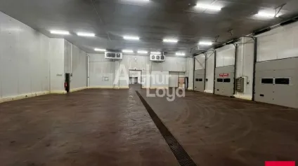 LA CHAUSSÉE SAINT VICTOR - VENTE 3 LOCAUX D'ACTIVITÉ DE 378,26 M² - 504,95 M² ET 1 053,22 M² - ACCES A10 IMMÉDIAT - Offre immobilière - Arthur Loyd