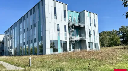 VERN SUR SEICHE - VAL D'ORSON - A LOUER 2 900 M² DIVISIBLES - Offre immobilière - Arthur Loyd