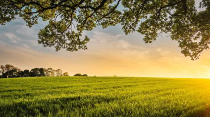 Terrain à vendre à Blanquefort idéal pour projet agricole de 500 m² - Offre immobilière - Arthur Loyd