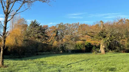 <br />Terrains 4 820 m² à vendre PANAZOL<br /> - Offre immobilière - Arthur Loyd