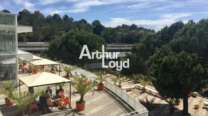 LOCAUX ACTIVITÉ A LOUER SOPHIA ANTIPOLIS - Offre immobilière - Arthur Loyd