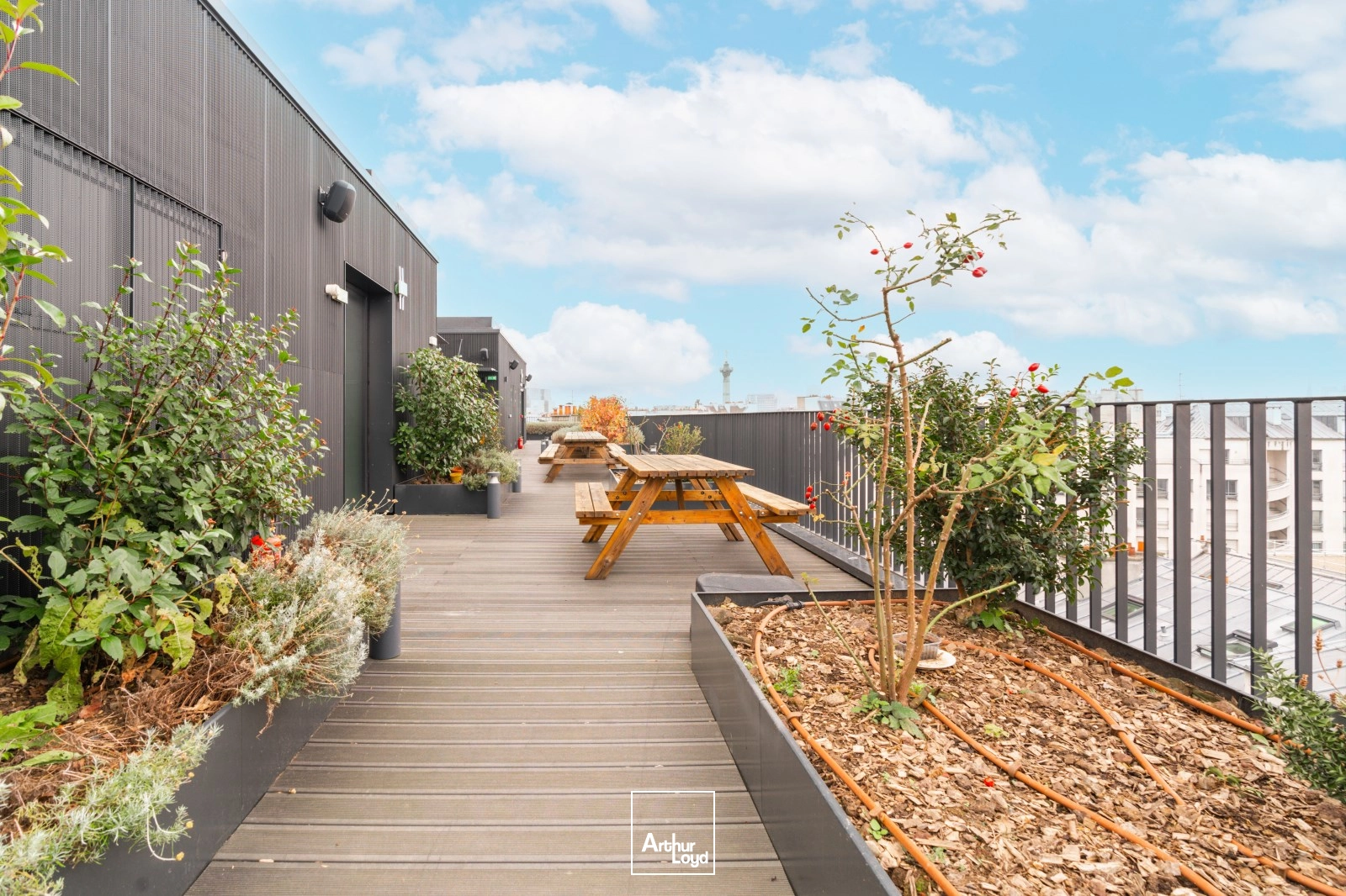 Bureaux A Louer - Sora Ainori