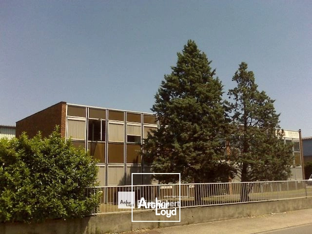 A vendre ou à louer - Bureaux lumineux - Chassieu
