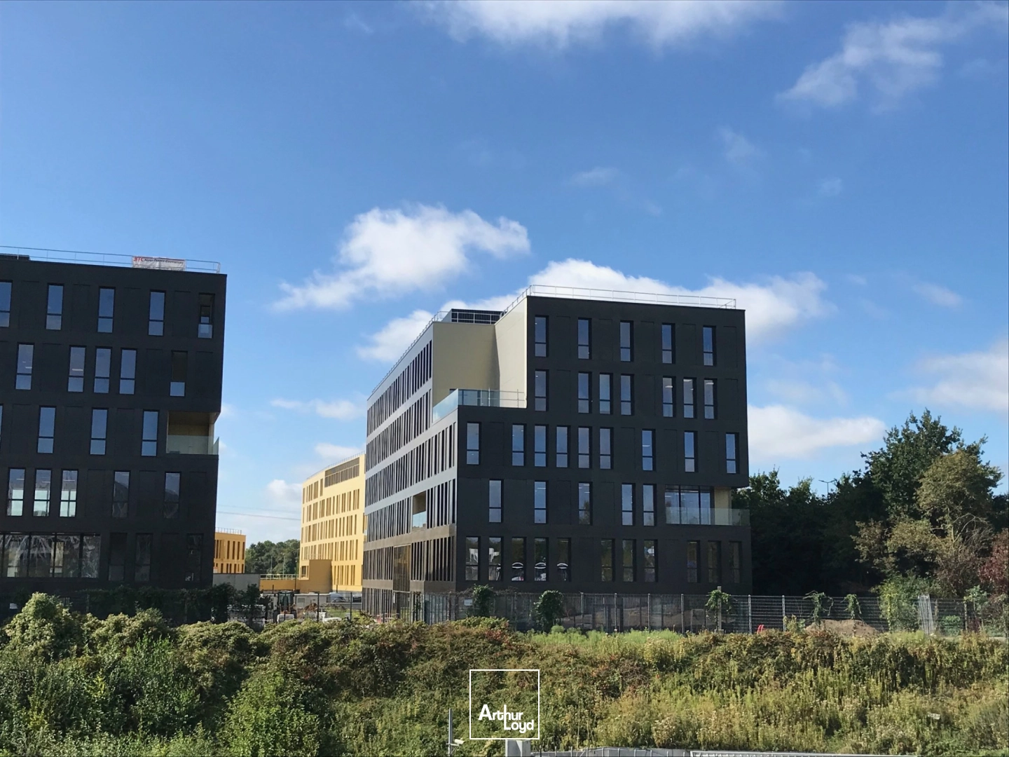 Bureaux - Location - VILLENEUVE D'ASCQ - 59650 - 180-3670.1 - 7641093