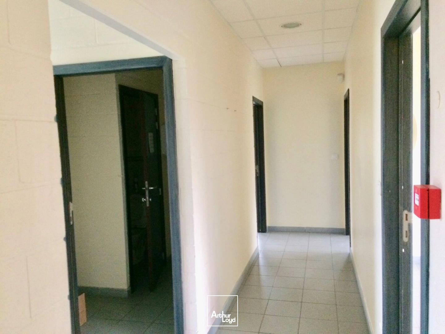 Bureaux - Location - SAINT AMAND LES EAUX - 59230 - 350-350 - 7641162