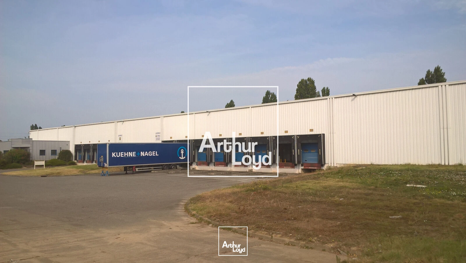 Locaux d'activité & Entrepôts - Location - LESPINASSE - 31150 - 6234-6234 - 7641282