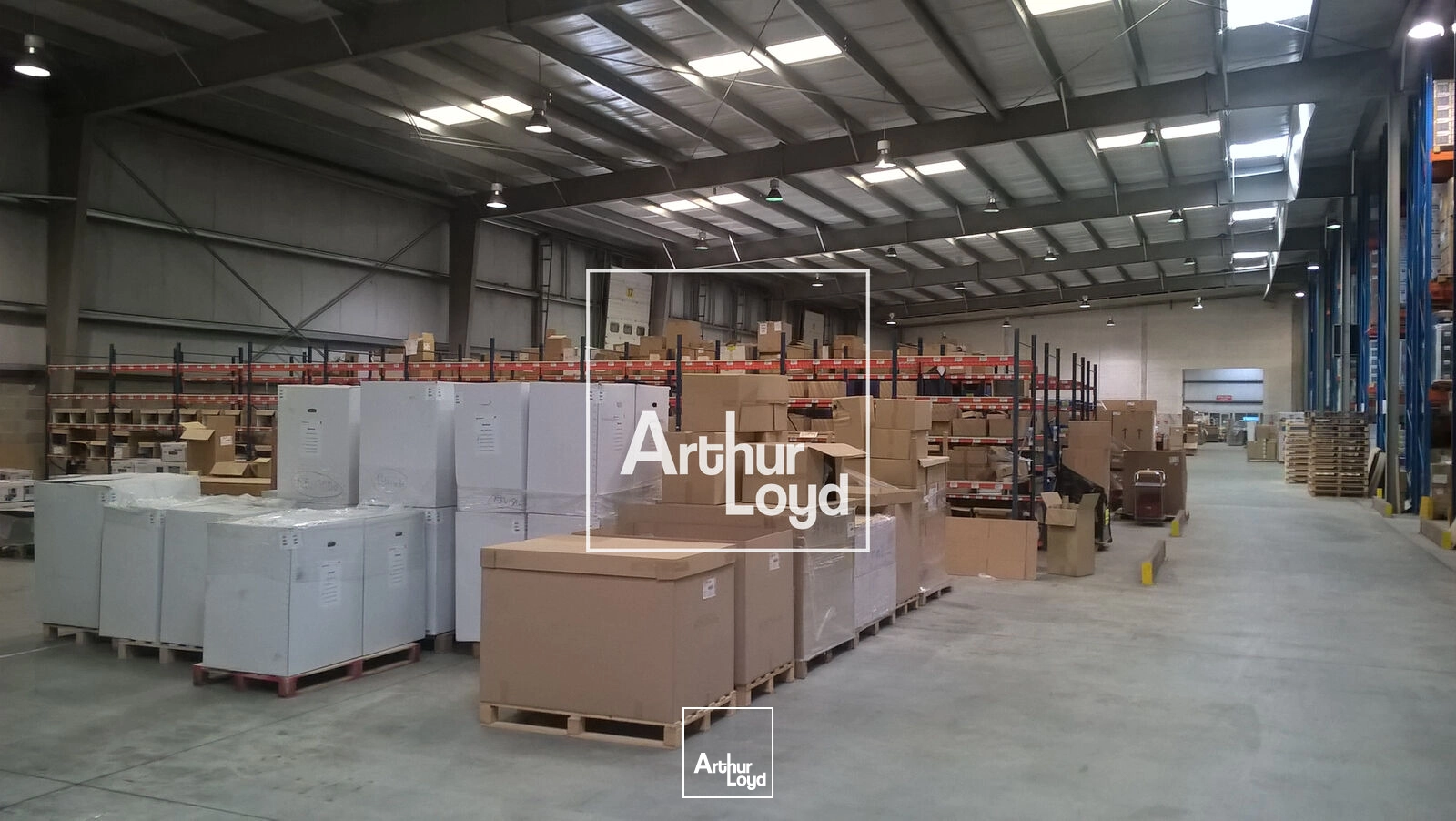 Locaux d'activité & Entrepôts - Location - LESPINASSE - 31150 - 6234-6234 - 7641286