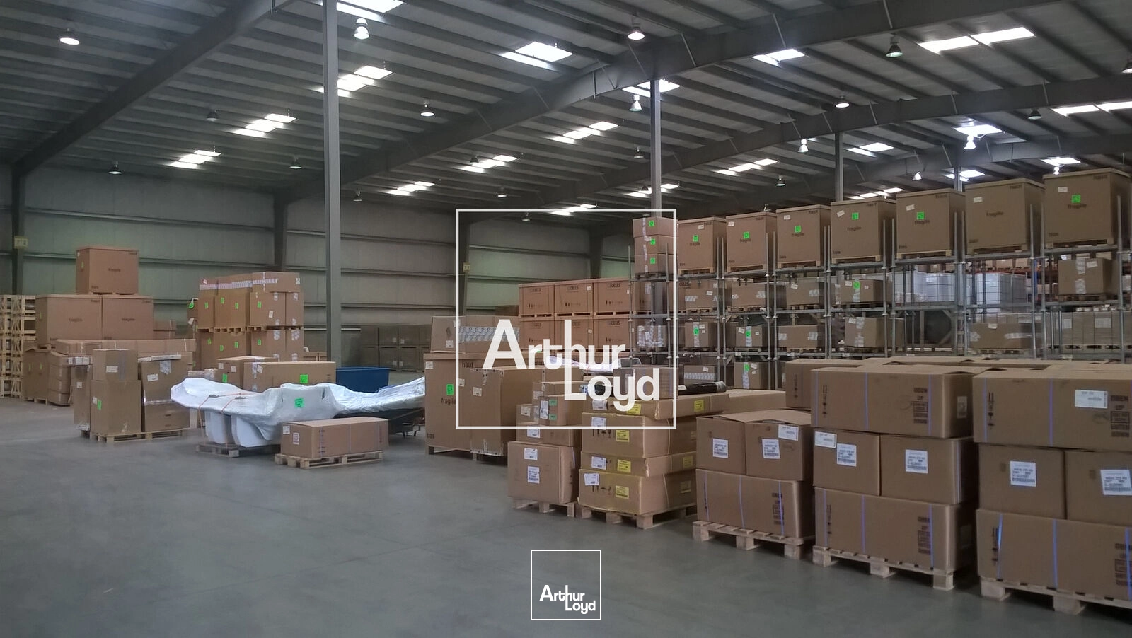 Locaux d'activité & Entrepôts - Location - LESPINASSE - 31150 - 6234-6234 - 7641287