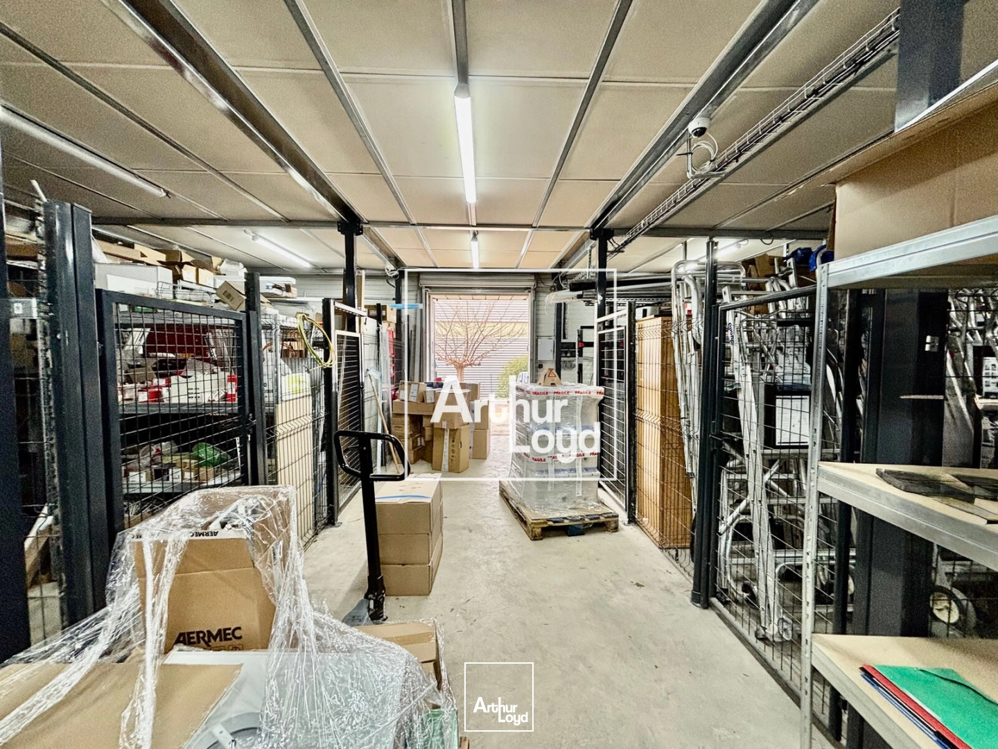 Locaux d'activité & Entrepôts - Location - SAINT JEAN DE VEDAS - 34430 - 600-600 - 7641701