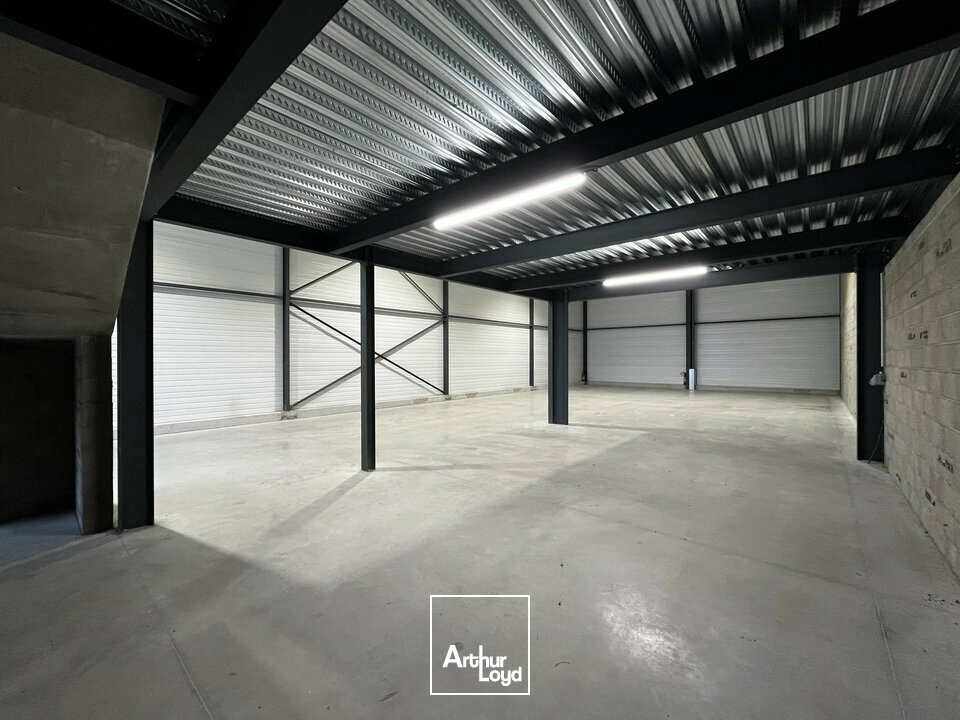 Locaux d'activité & Entrepôts - Vente - SOUFFELWEYERSHEIM - 67460 - 385-385 - 7644075