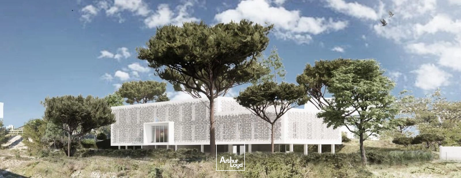 Bureaux - Vente - LES ANGLES - 30133 - 172-1057 - 7654505