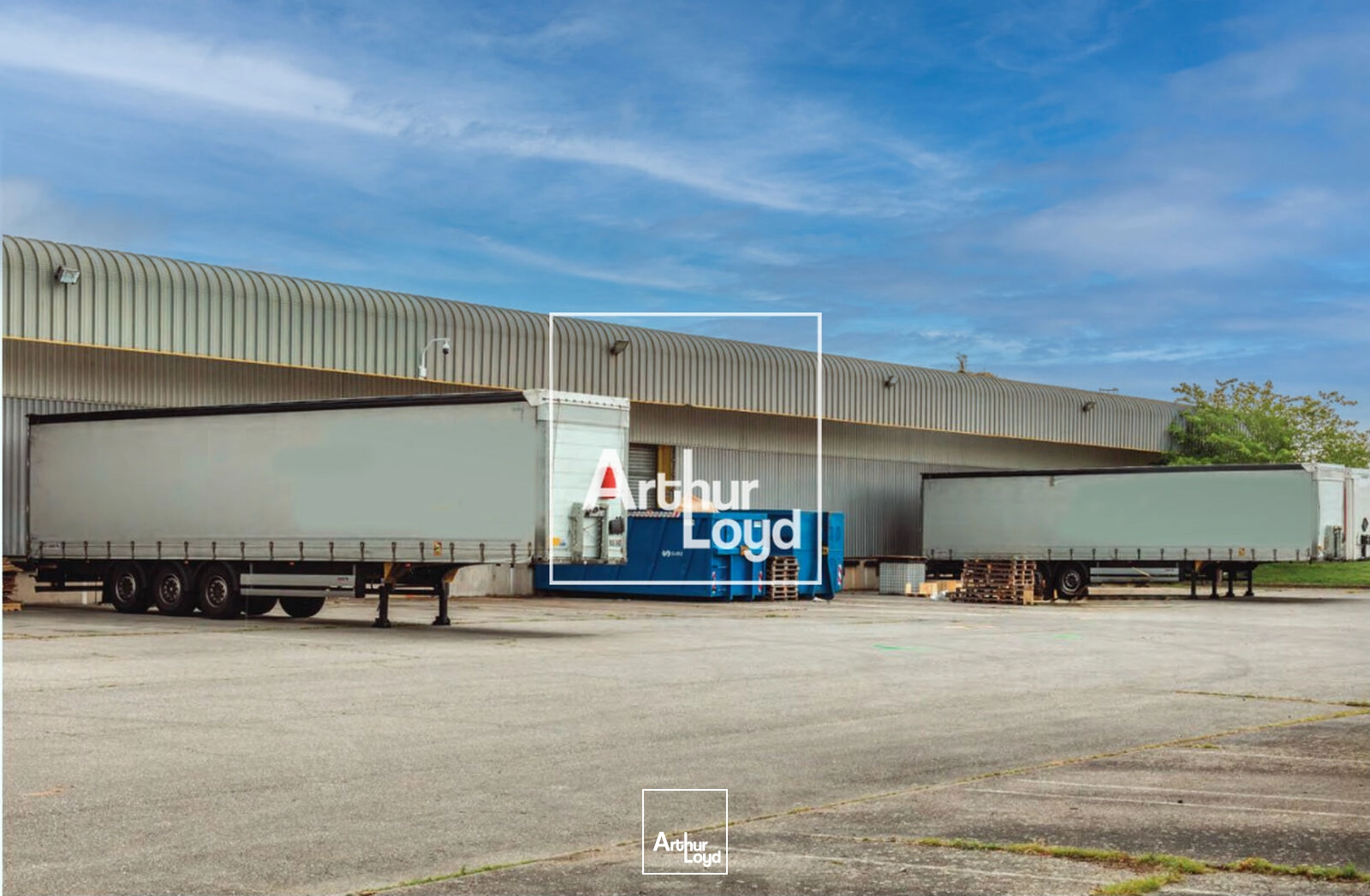 Locaux d'activité & Entrepôts - Location - CUGNAUX - 31270 - 3613-3613 - 7668616